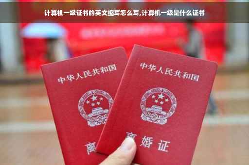 计算机一级证书的英文缩写怎么写,计算机一级是什么证书