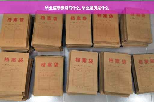 毕业信息都填写什么,毕业履历是什么