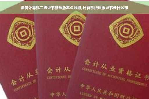 湖南计算机二级证书纸质版怎么领取,计算机纸质版证书长什么样