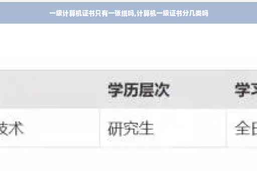 一级计算机证书只有一张纸吗,计算机一级证书分几类吗