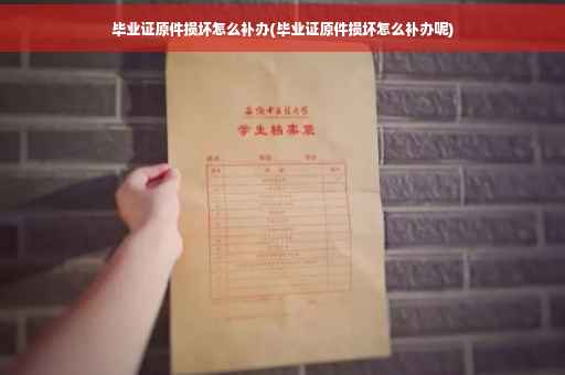 毕业证原件损坏怎么补办(毕业证原件损坏怎么补办呢)