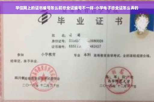 学信网上的证书编号怎么和毕业证编号不一样-小学电子毕业证怎么弄的