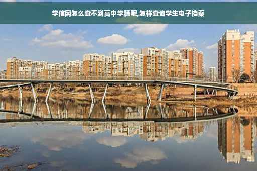 学信网怎么查不到高中学籍呢,怎样查询学生电子档案 学信网怎么查不到高中学籍呢,怎样查询学生电子档案
