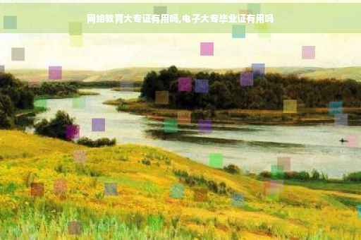 网络教育大专证有用吗,电子大专毕业证有用吗