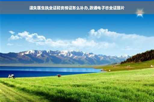 遗失医生执业证和资格证怎么补办,政通电子毕业证图片