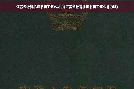 江苏省计算机证书丢了怎么补办(江苏省计算机证书丢了怎么补办呢)