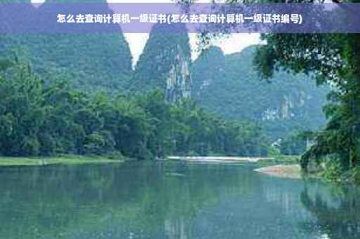 怎么去查询计算机一级证书(怎么去查询计算机一级证书编号)