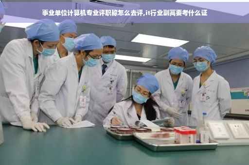 事业单位计算机专业评职称怎么去评,it行业副高要考什么证