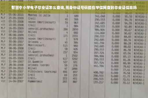 智慧中小学电子毕业证怎么查询,用身份证号码能在学信网查到毕业证信息吗