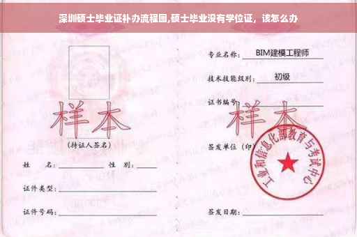 深圳硕士毕业证补办流程图,硕士毕业没有学位证，该怎么办