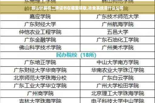 鞍山计算机二级证书在哪里领取,冶金系统是什么公司