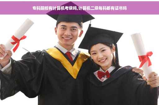 专科院校有计算机考级吗,计算机二级每科都有证书吗