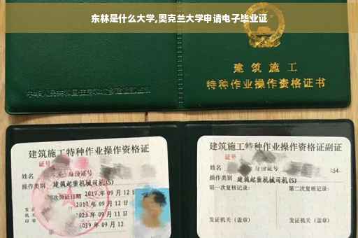 东林是什么大学,奥克兰大学申请电子毕业证