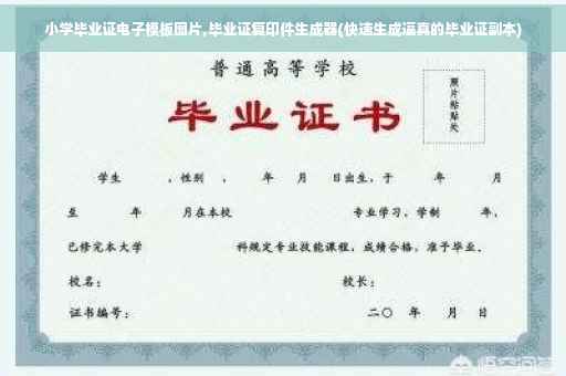 小学毕业证电子模板图片,毕业证复印件生成器(快速生成逼真的毕业证副本)