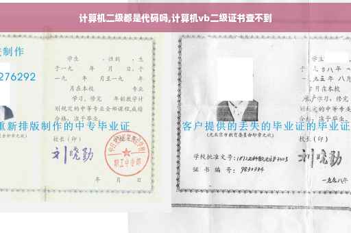 计算机二级都是代码吗,计算机vb二级证书查不到