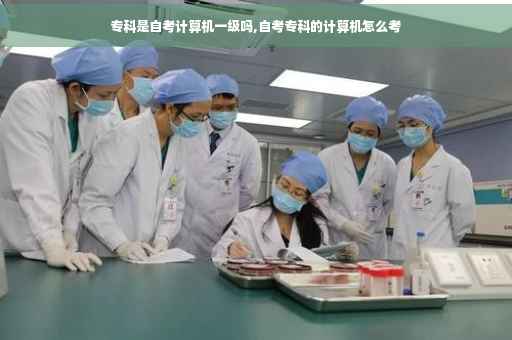 专科是自考计算机一级吗,自考专科的计算机怎么考