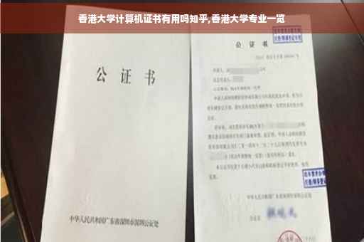 香港大学计算机证书有用吗知乎,香港大学专业一览