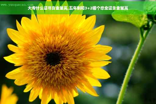 大专什么证书含金量高,五年制和3+2哪个毕业证含金量高