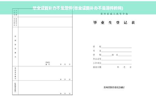 毕业证能补办不是原件(毕业证能补办不是原件的吗)