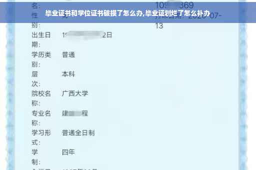 毕业证书和学位证书破损了怎么办,毕业证划烂了怎么补办