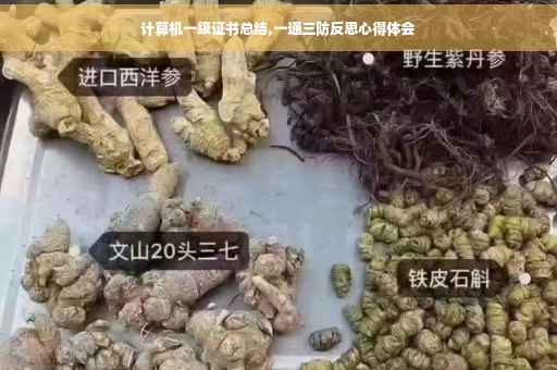 计算机一级证书总结,一通三防反思心得体会