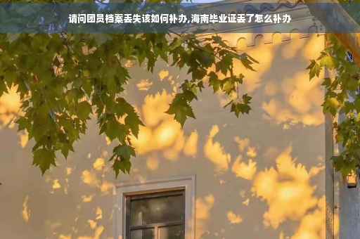 请问团员档案丢失该如何补办,海南毕业证丢了怎么补办