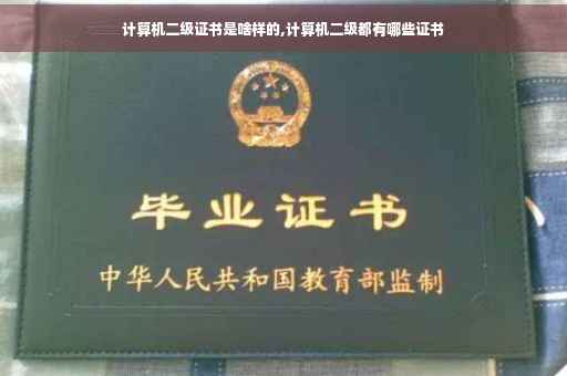 计算机二级证书是啥样的,计算机二级都有哪些证书