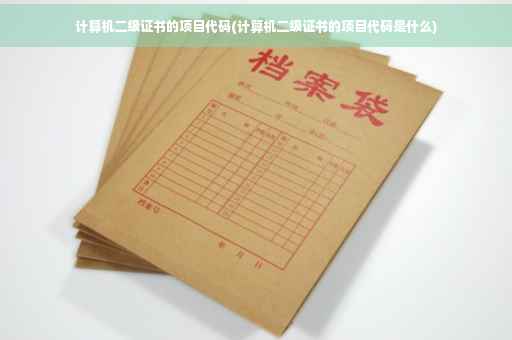 计算机二级证书的项目代码(计算机二级证书的项目代码是什么)