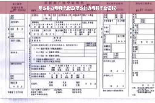 怎么补办专科毕业证(怎么补办专科毕业证书)