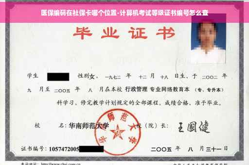 医保编码在社保卡哪个位置-计算机考试等级证书编号怎么查