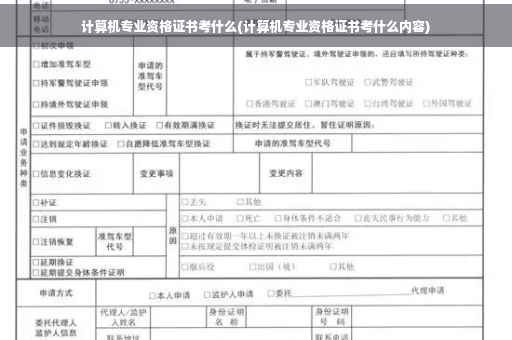 计算机专业资格证书考什么(计算机专业资格证书考什么内容)