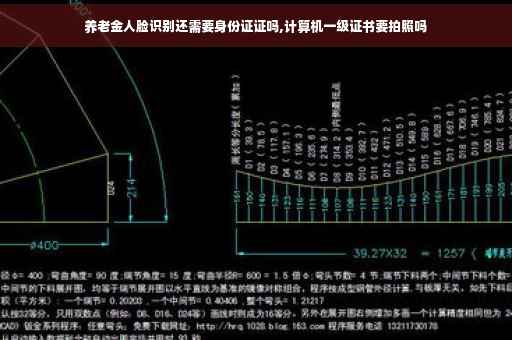 养老金人脸识别还需要身份证证吗,计算机一级证书要拍照吗