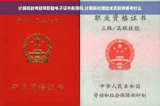 计算机软考初级职称电子证书有用吗,计算机处理技术员初级都考什么