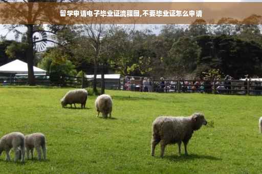留学申请电子毕业证流程图,不要毕业证怎么申请