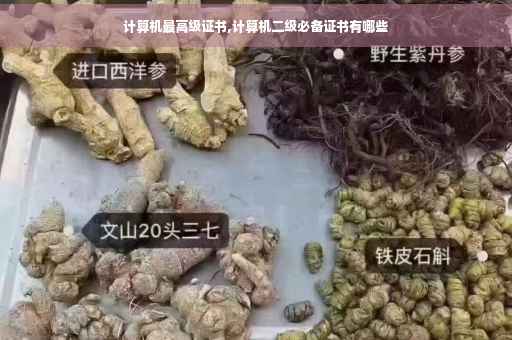 计算机最高级证书,计算机二级必备证书有哪些
