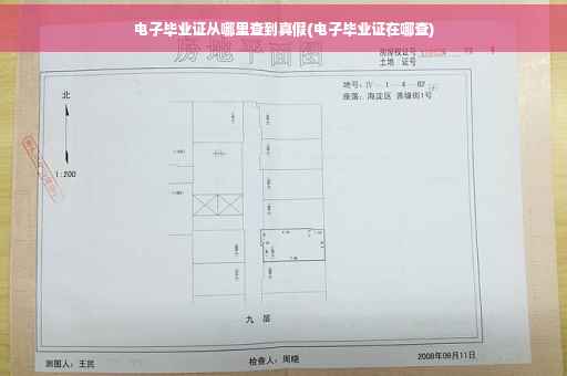电子毕业证从哪里查到真假(电子毕业证在哪查)