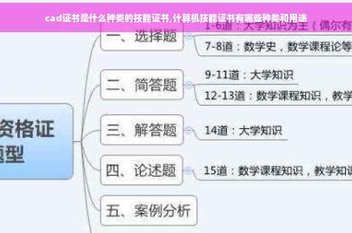 cad证书是什么种类的技能证书,计算机技能证书有哪些种类和用途