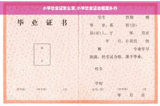 小学毕业证怎么拿,小学毕业证去哪里补办