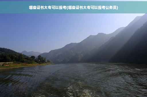 哪些证书大专可以报考(哪些证书大专可以报考公务员)
