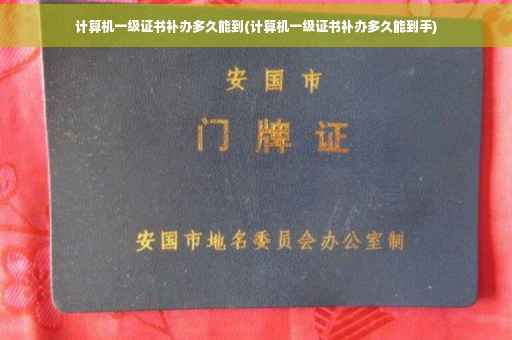 计算机一级证书补办多久能到(计算机一级证书补办多久能到手)