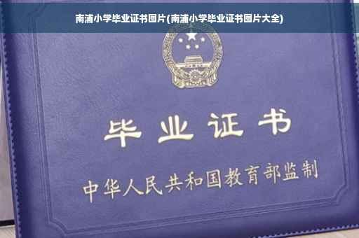 南浦小学毕业证书图片(南浦小学毕业证书图片大全)