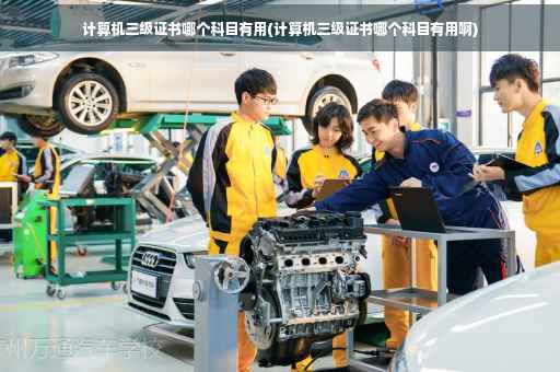 计算机三级证书哪个科目有用(计算机三级证书哪个科目有用啊)