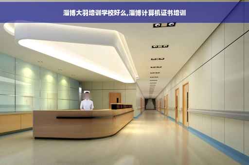 淄博大羽培训学校好么,淄博计算机证书培训