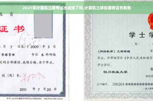 2021年计算机三级考试出成绩了吗,计算机三级在哪看证书有效