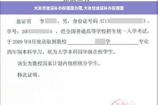 大冶毕业证补办在哪里办理,大冶毕业证补办在哪里