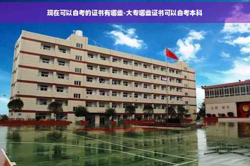 现在可以自考的证书有哪些-大专哪些证书可以自考本科