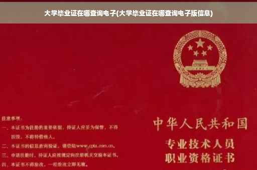 大学毕业证在哪查询电子(大学毕业证在哪查询电子版信息) 大学毕业证在哪查询电子(大学毕业证在哪查询电子版信息)
