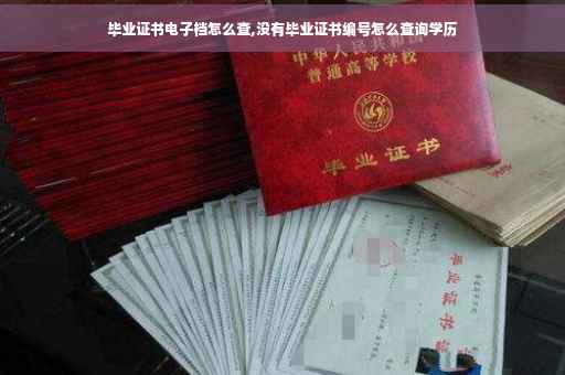 毕业证书电子档怎么查,没有毕业证书编号怎么查询学历