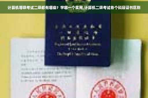计算机等级考试二级都有哪些？学哪一个实用,计算机二级考试各个科目证书区别