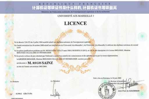 计算机证等级证书是什么样的,计算机证书等级最高